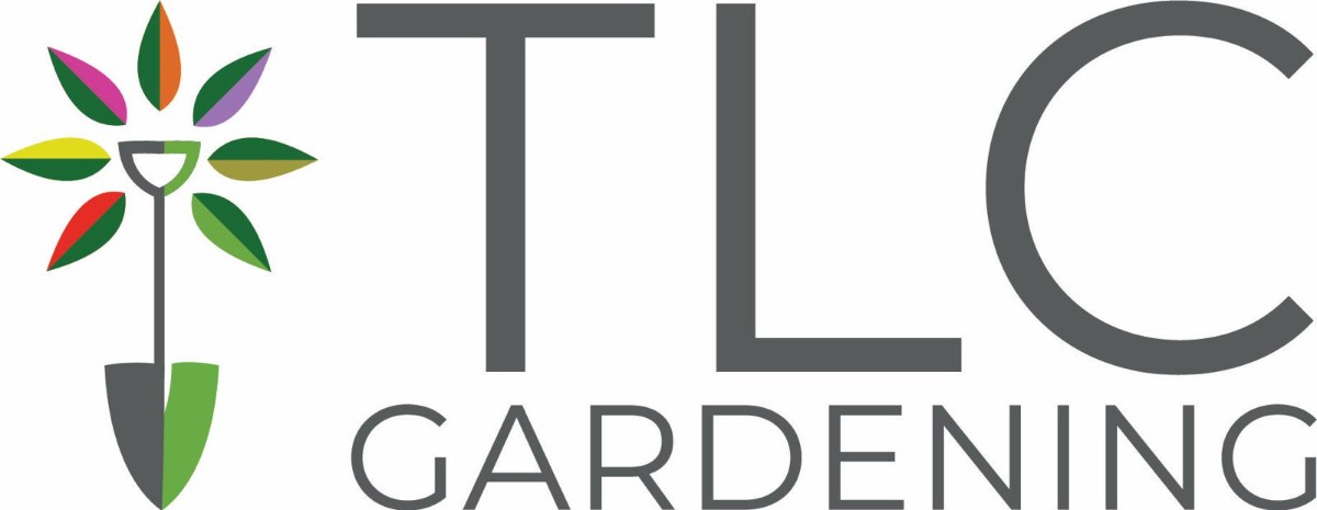 Company: Image 1